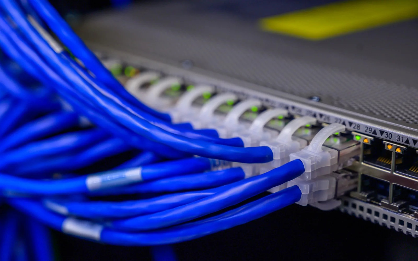 Blue Cat6 Ethernet patch cables plugged into a network switch